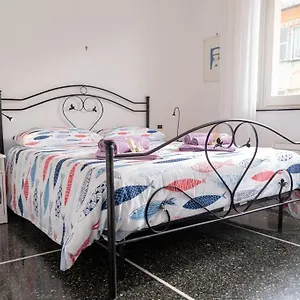 - Colle Fiorito Appartamento